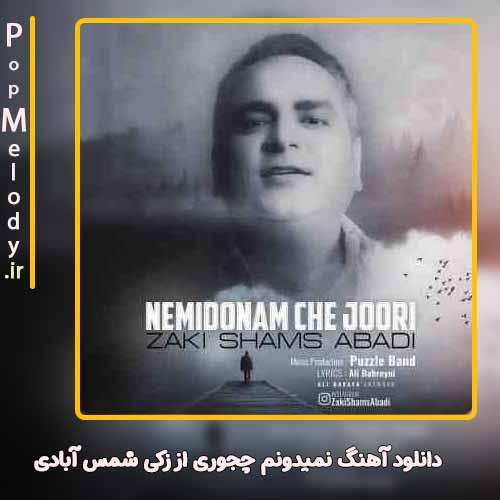 دانلود آهنگ زکی شمس آبادی نمیدونم چجوری
